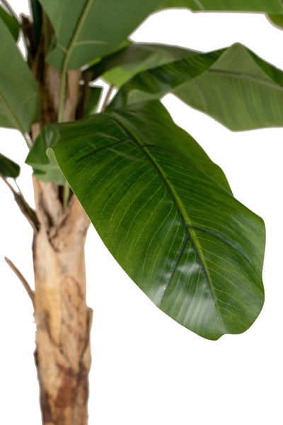 Palmier artificial H240cm Banan cu 16 frunze