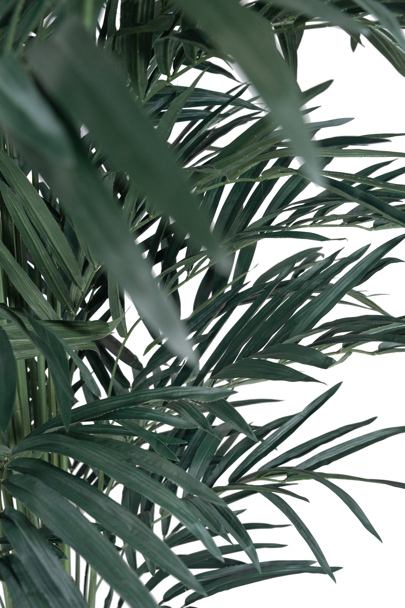 Palmier artificial H240cm Kentia cu 876 frunze