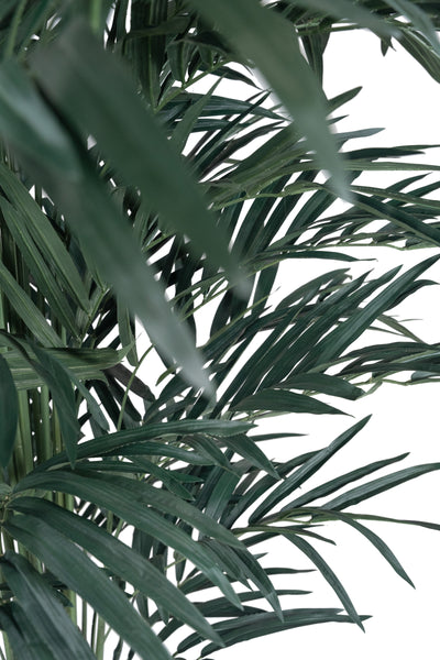 Palmier artificial H240cm Kentia cu 876 frunze