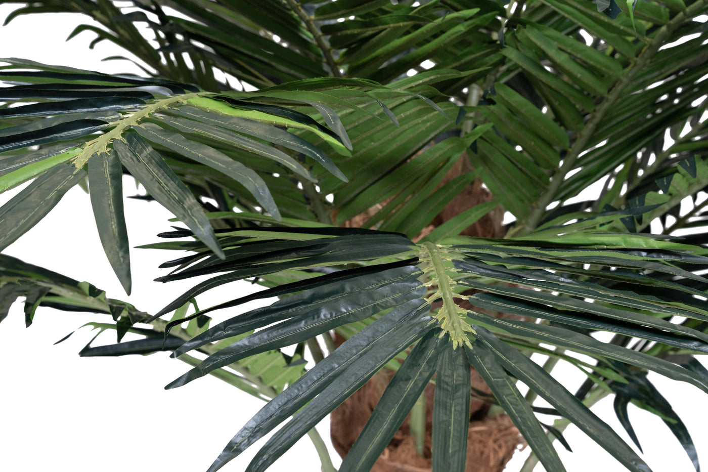 Palmier artificial H240cm Phoenix exotic. coroana D300cm cu protectie UV