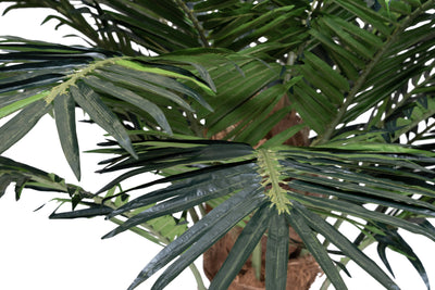 Palmier artificial H240cm Phoenix exotic. coroana D300cm cu protectie UV