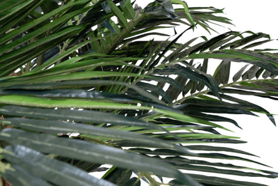 Palmier artificial H240cm Phoenix exotic. coroana D300cm cu protectie UV