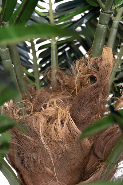 Palmier artificial H240cm Phoenix exotic. coroana D300cm cu protectie UV