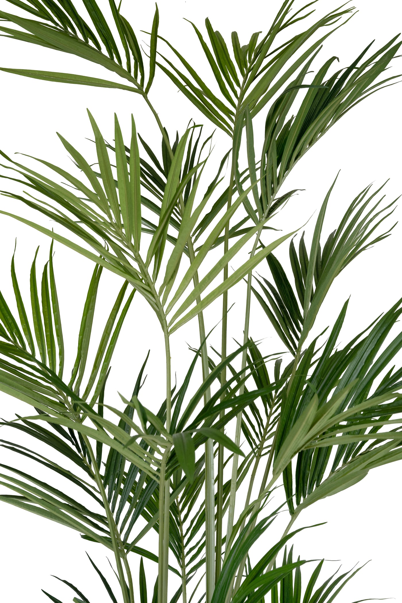 Palmier artificial H270cm Kentia