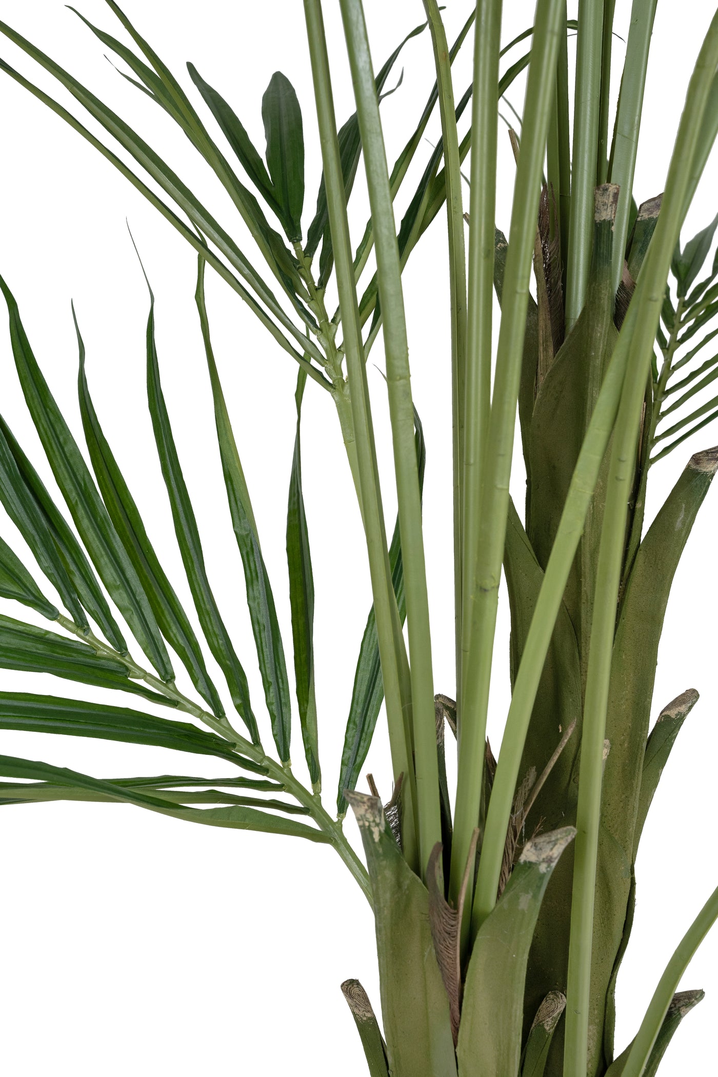 Palmier artificial H270cm Kentia