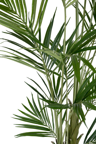 Palmier artificial H270cm Kentia