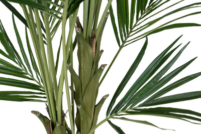 Palmier artificial H270cm Kentia