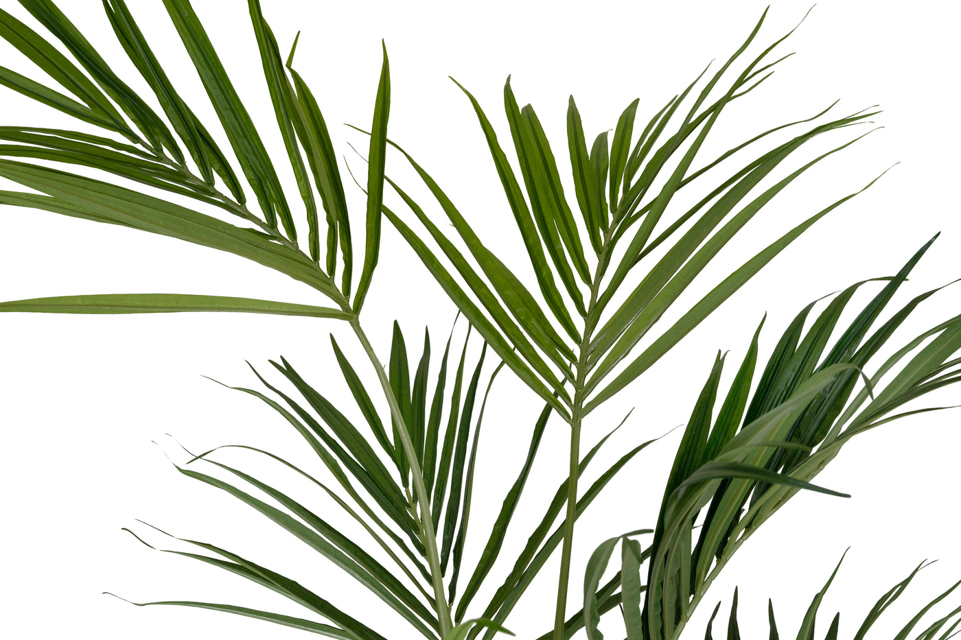 Palmier artificial H270cm Kentia