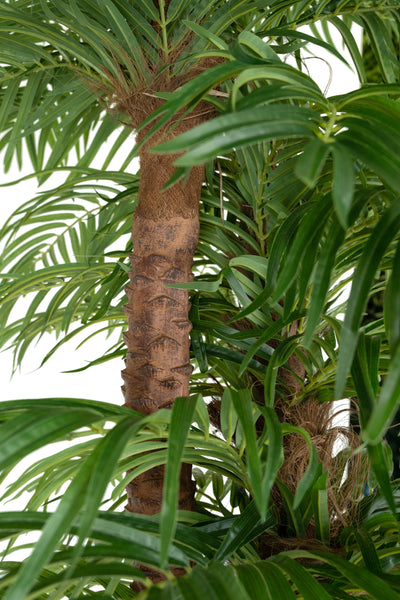 Palmier artificial H270cm Phoenix roebelenii cu 54 frunze