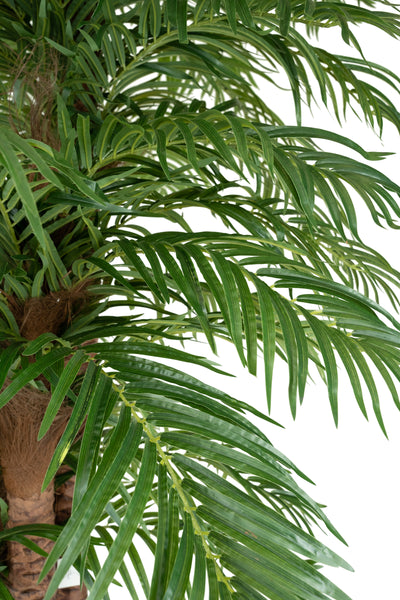 Palmier artificial H270cm Phoenix roebelenii cu 54 frunze