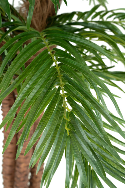 Palmier artificial H270cm Phoenix roebelenii cu 54 frunze