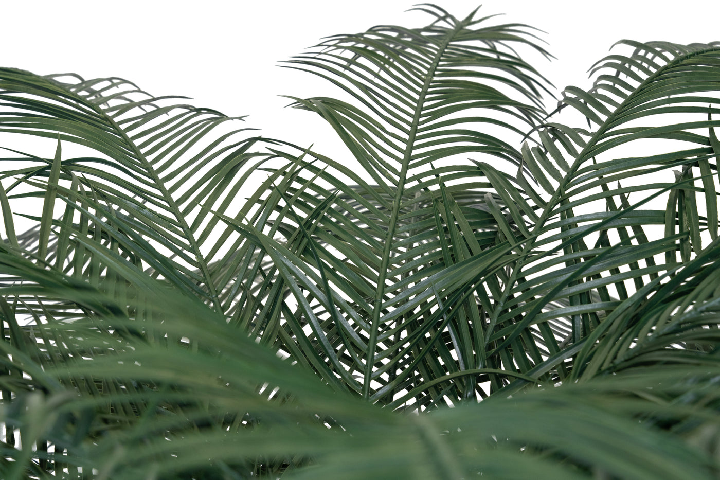 Palmier artificial H280cm Phoenix roebelenii cu 33 frunze cu protectie UV