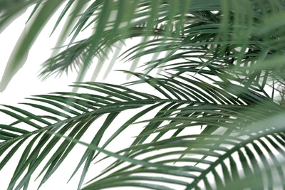 Palmier artificial H280cm Phoenix roebelenii cu 33 frunze cu protectie UV