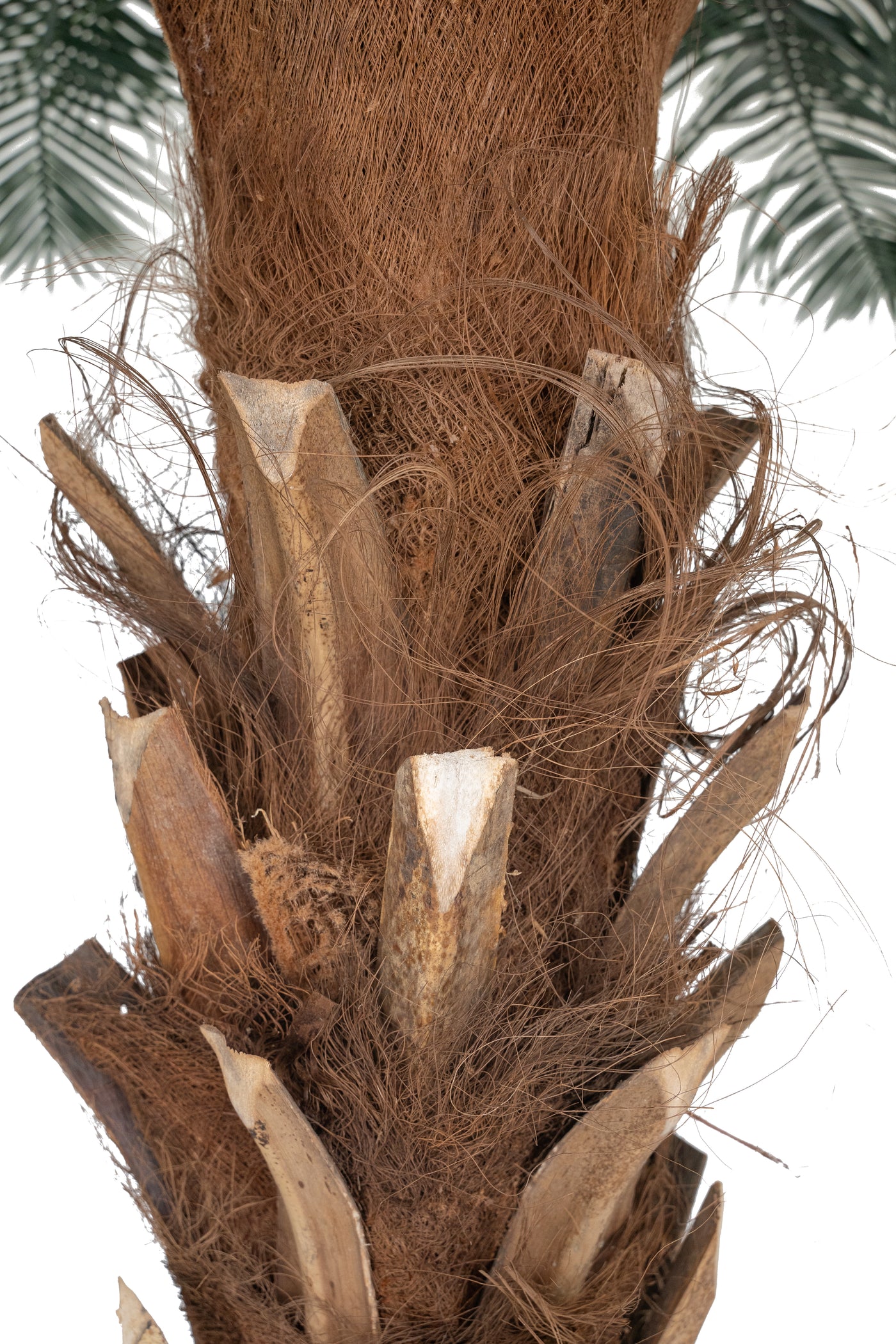 Palmier artificial H280cm Phoenix roebelenii cu 33 frunze cu protectie UV