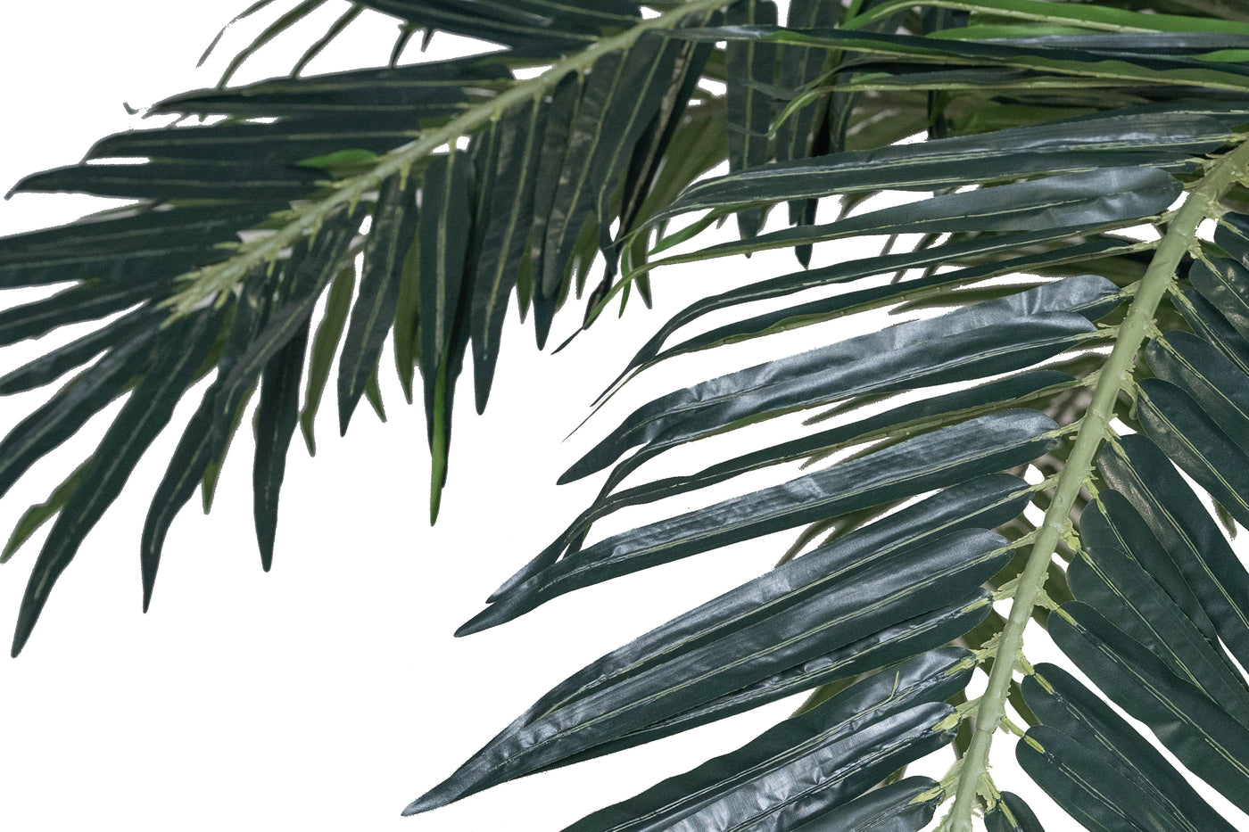 Palmier artificial H300cm Phoenix. coroana D420cm cu protectie UV
