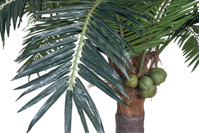Palmier artificial H300cm Phoenix. coroana D420cm cu protectie UV