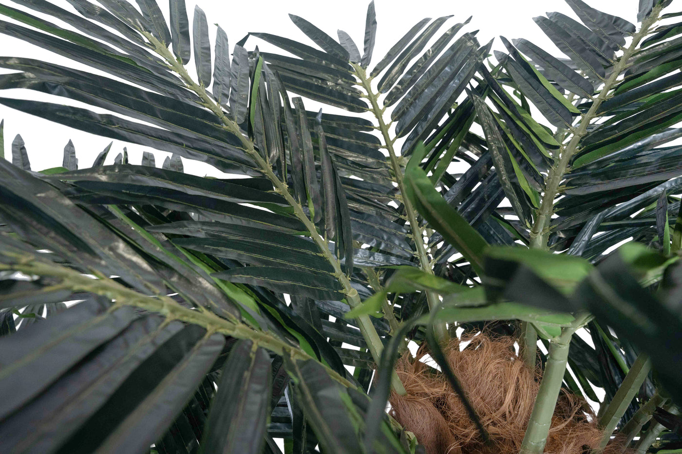 Palmier artificial H300cm Phoenix exotic. coroana D420cm cu protectie UV