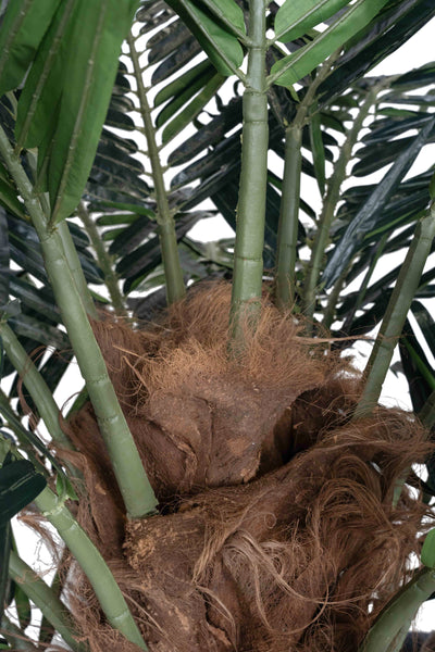 Palmier artificial H300cm Phoenix exotic. coroana D420cm cu protectie UV