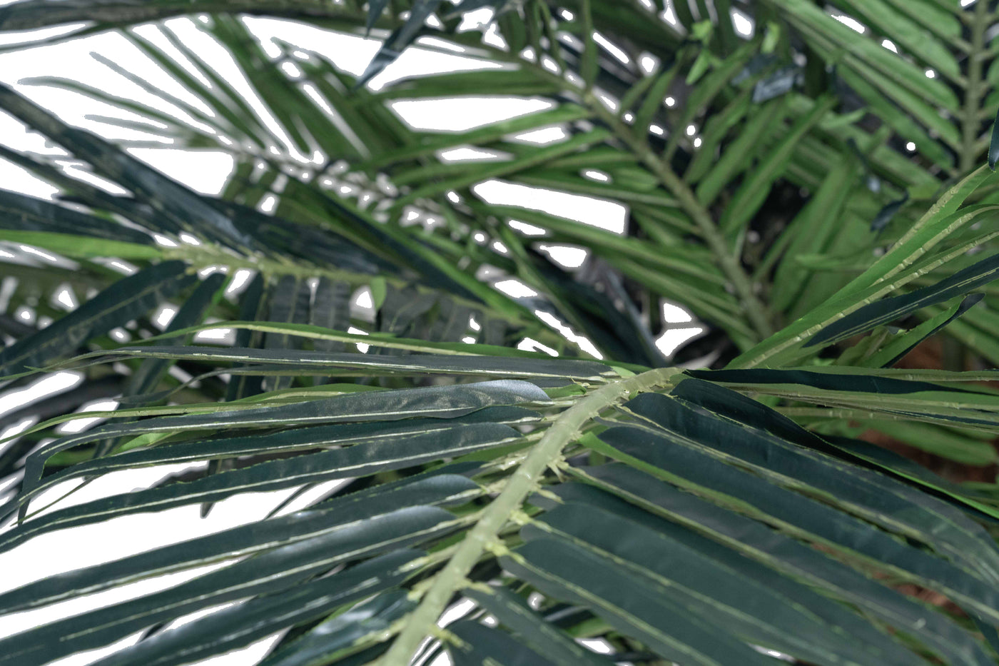 Palmier artificial H300cm Phoenix exotic. coroana D420cm cu protectie UV