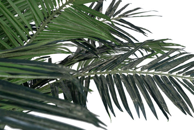 Palmier artificial H300cm Phoenix exotic. coroana D420cm cu protectie UV