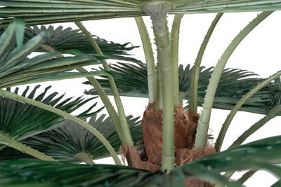 Palmier artificial H300cm Washingtonia. coroana D370cm cu protectie UV