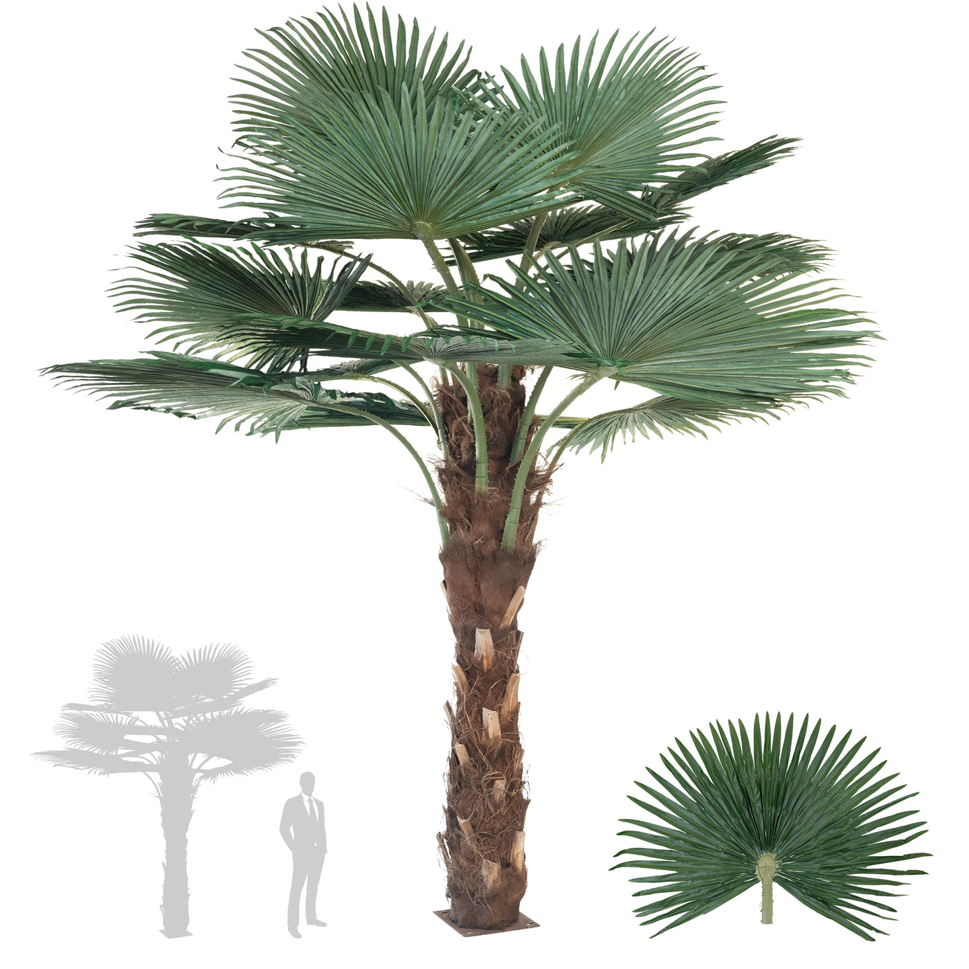 Palmier artificial H300cm Washingtonia cu trunchi natural. coroana D300cm cu protectie UV