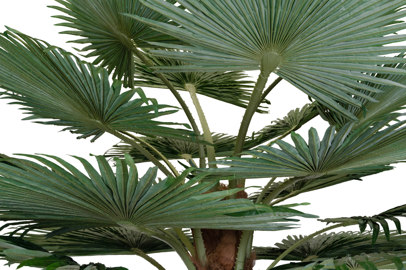 Palmier artificial H340cm Washingtonia. coroana D300cm cu protectie UV