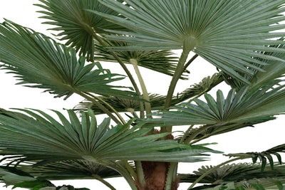 Palmier artificial H340cm Washingtonia. coroana D300cm cu protectie UV