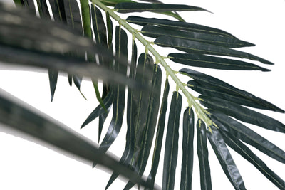 Palmier artificial H350cm Phoenix exotic. coroana D350cm cu protectie UV