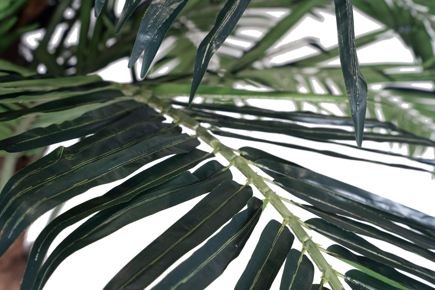Palmier artificial H350cm Phoenix exotic. coroana D350cm cu protectie UV
