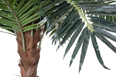 Palmier artificial H350cm Phoenix exotic. coroana D350cm cu protectie UV