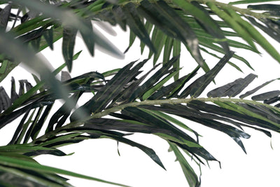 Palmier artificial H350cm Phoenix exotic. coroana D350cm cu protectie UV