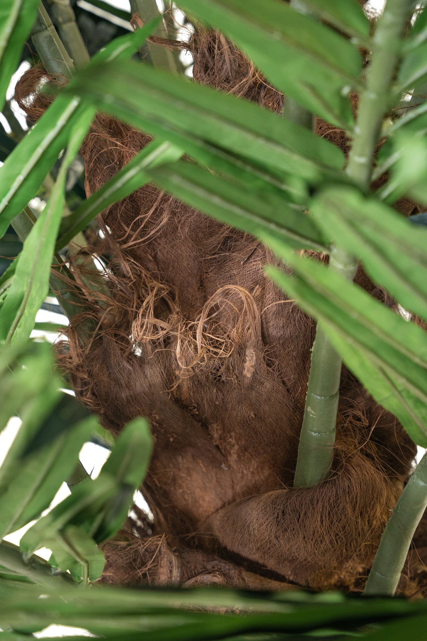 Palmier artificial H400cm Phoenix. coroana D420cm cu protectie UV