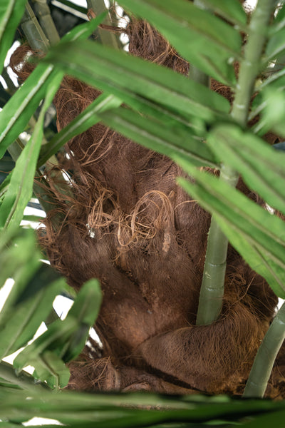 Palmier artificial H400cm Phoenix. coroana D420cm cu protectie UV