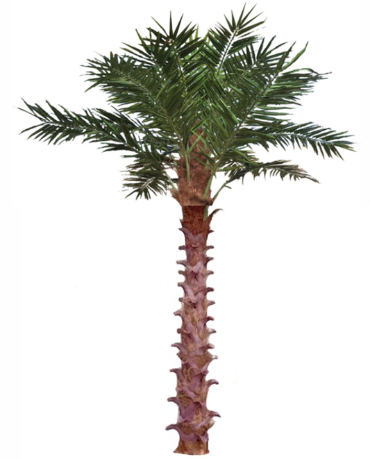 Palmier artificial H400cm Phoenix exotic. coroana D420cm cu protectie UV