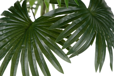 Palmier artificial H50cm Chamaerops humilis cu 7 frunze