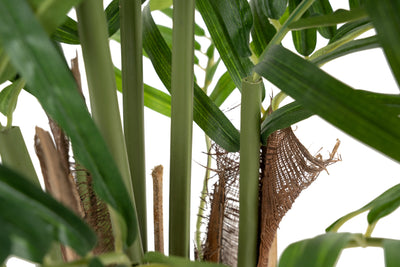 Palmier artificial H70cm Areca cu 324 frunze