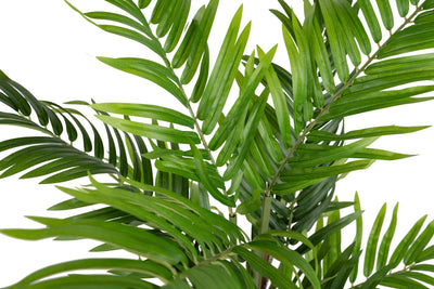 Palmier artificial H70cm Areca cu 324 frunze