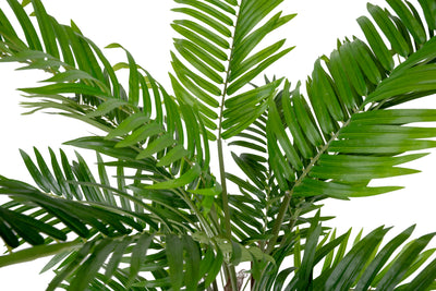 Palmier artificial H90cm Areca cu 525 frunze