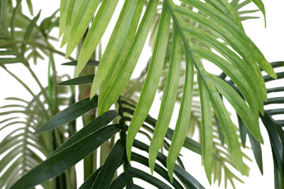 Palm artificial H73cm Kentia cu 15 frunze
