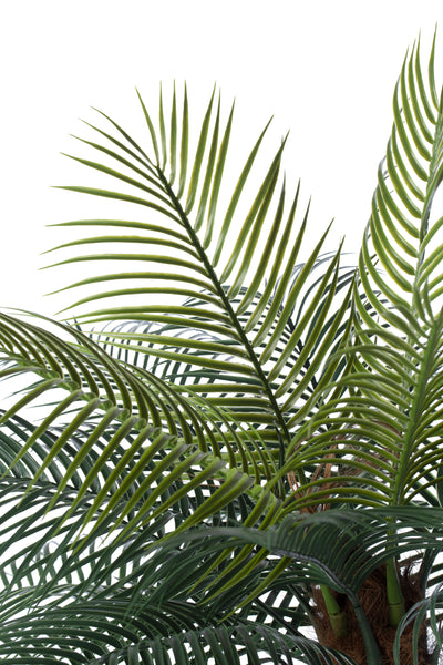 Palm artificial H220cm Phoenix roebelenii