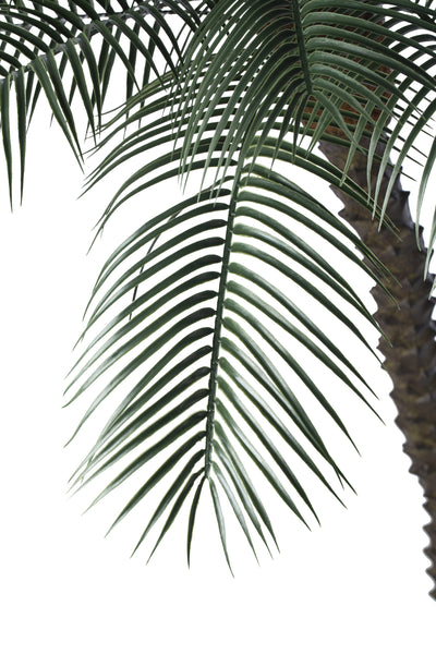 Palm artificial H220cm Phoenix roebelenii