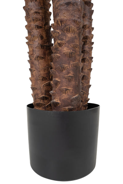 Palmier artificial Phoenix roebelenii H230 cm