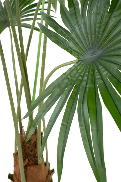 Palm artificial H140cm Washingtonia robusta cu 7 frunze