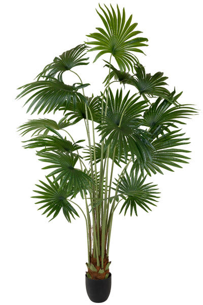 Palm artificial H200cm Washingtonia robusta cu 18 frunze
