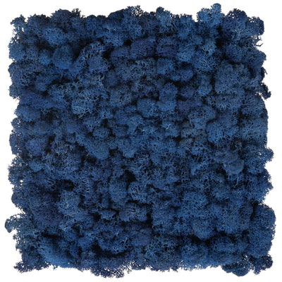 Panou licheni conservati 30x30 cm albastru cobalt