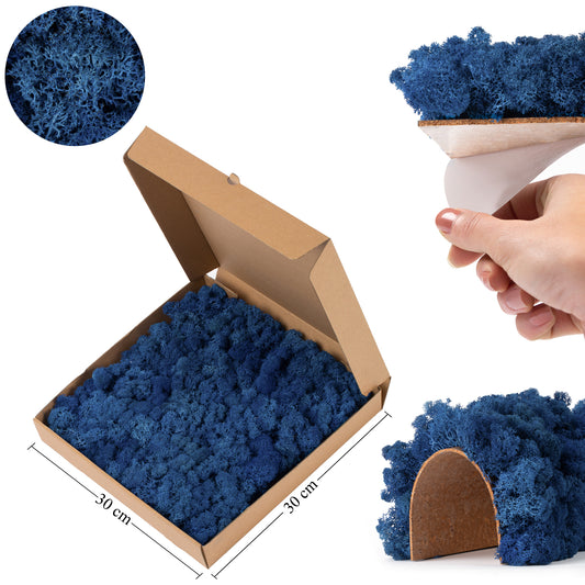 Panou licheni conservati 30x30 cm albastru cobalt RR15M