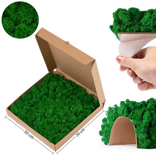 Panou licheni conservati 30x30 cm verde smarald mediu RR2MED