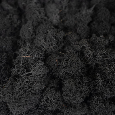 Licheni stabilizati panou 30x30 cm negru, gata lipiti
