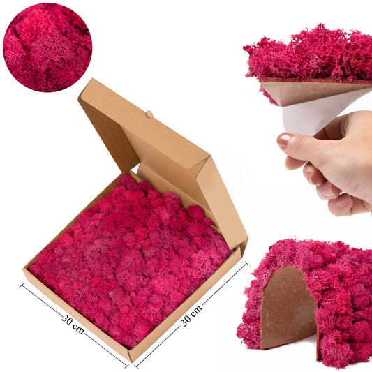 Panou licheni conservati 30x30cm. roz magenta RR30